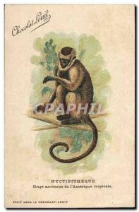 Postcard Old Monkey Monkey nocturnal owl monkey of tropical & # 39Amerique