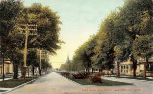 WATERLOO, IA Iowa  EAST PARK BOULEVARD Trees~Homes BLACK HAWK CO c1910s Postcard
