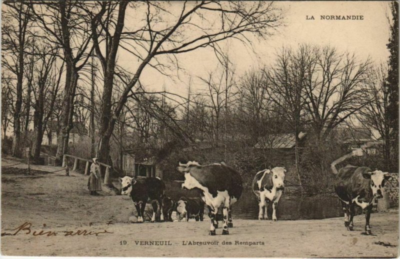 CPA VERNEUIL Abreuvoir des Remparts (43209)