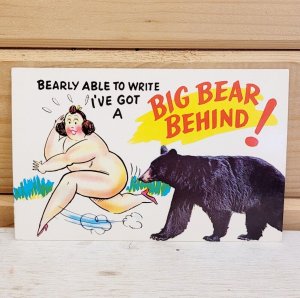 Vintage Postcard Plastichrome 1950s Humor Bear 3.5 x 5.5 Unused CHROME