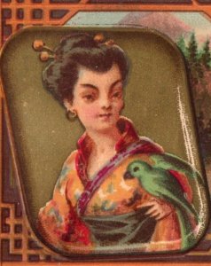 1881 W.L. Hays & Son Books Wall Paper Japanese Lady & Parrot F127