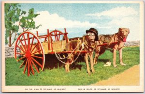 Canada, Dogs Pulling Cart on the Road to Ste-Anne de Beaupre, Vintage Postcard