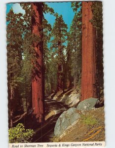 Postcard Road to Sherman Tree, Sequoia & Kings Canyon National Parks, California