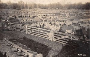 Alma Nebraska Sheep Ranch Real Photo Vintage Postcard AA48631