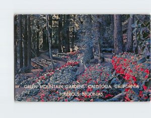 Postcard Green Mountain Gardens Calistoga California USA