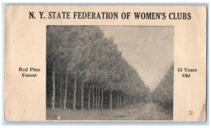 c1905 N.Y. State Federation of Womens Clubs Red Pine Forest New York NY Postcard