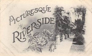 Riverside California c1910 Postcard Picturesque Riverside 