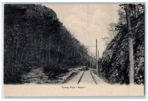 c1910's Railway, Turkey Pass Notch Amherst Massachusetts MA Antique Postcard 