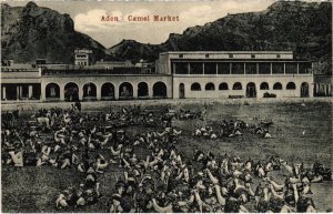 PC ADEN CAMEL MARKET YEMEN (a32205)