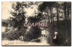 Old Postcard La Baule Dunes wood & # 39amour