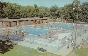 Swimming Pool POTAWATOMI PARK South Bend, Indiana c1950s Vintage Postcard