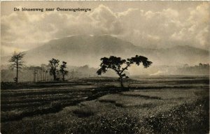 CPA AK INDONESIA De binnenweg naar Oenarangebergte (341621)