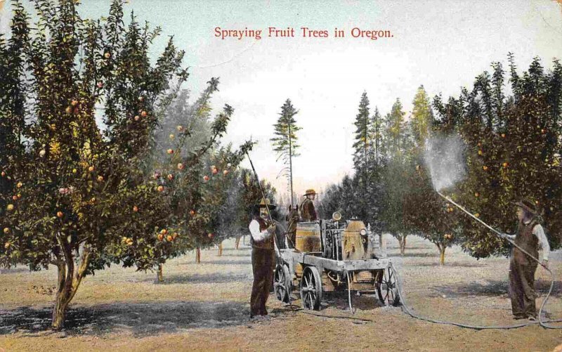 Orchard Spraying Fruit Trees Farming in Oregon DPO Port Stevens 1918 postcard