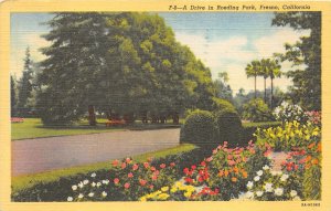 Lot112 usa california  a drive in roeding park fresno