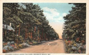 COLUMBIA AVENUE AMONG THE PINES REHOBOTH BEACH DELAWARE POSTCARD (c. 1920s)