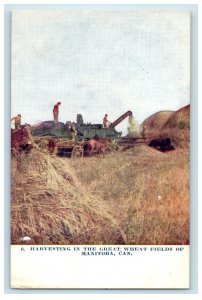c1910 Harvesting In The Great Wheat Fields of Manitoba Canada Postcard