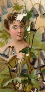 1880's Floral Beauties Canterbury Duke's Cigarettes Victorian Tobacco Card F68B