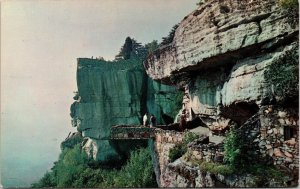 Observation Cliff Rock City Lookout Mountain Chattanooga Tennessee Tn Postcard
