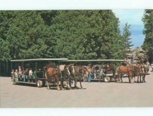 Unused 1980's HORSE-DRAWN TOURIST WAGONS Mackinac Island Michigan MI E7113