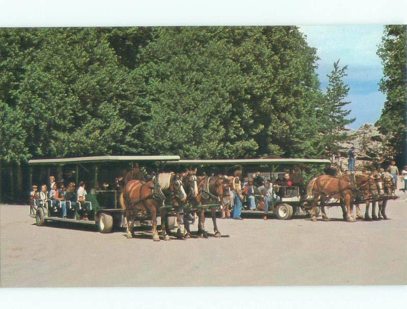 Unused 1980's HORSE-DRAWN TOURIST WAGONS Mackinac Island Michigan MI E7113