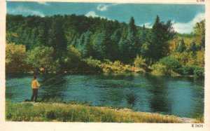 Vintage Postcard Fishing On The Lake Scenic Picturesque View Colourpicture Pub.