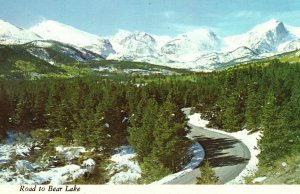 Vintage Postcard Road to Bear Lake State Park Green Forest Utah