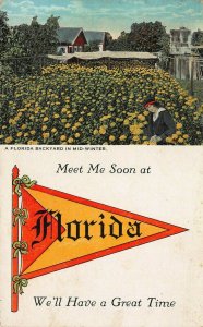A Florida Backyard in Mid-Winter, Early Pennant Postcard, Used in 1923