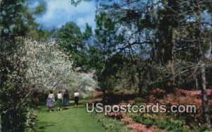 Killearn Gardens State Park - Tallahassee, Florida FL