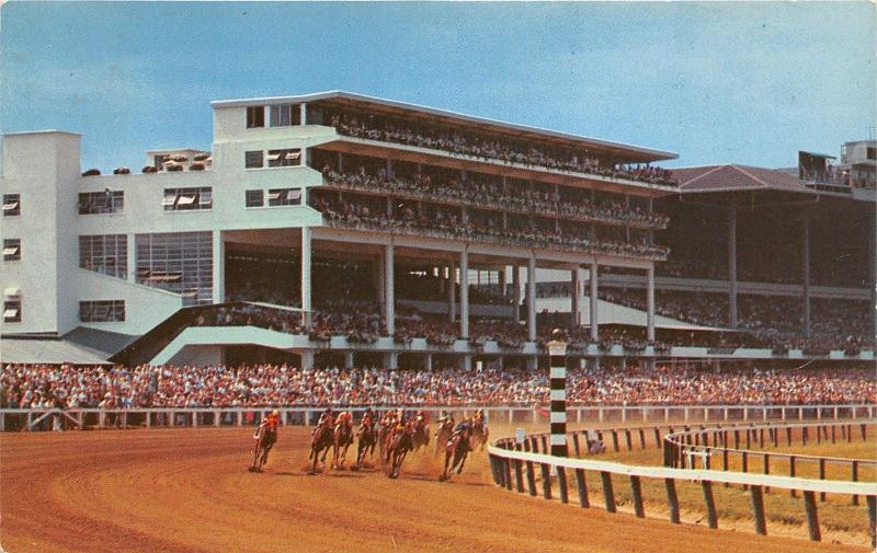 Oceanport New Jersey~Monmouth Park Race Track~Horses Racing~Large Crowd~Postcard