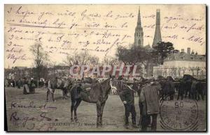 Old Postcard Horse Riding Equestrian Chartres The walking horses TOP