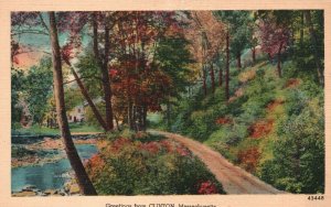 Greetings From Clinton Massachusetts Trails Pathways MA Vintage Postcard 1942