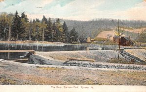 Tyrone Pennsylvania Stevens Park Dam Scenic View Postcard AA82858