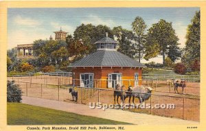 Camels, Park Mansion, Druid Hill Park - Baltimore, Maryland MD Postcard