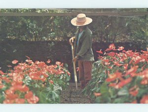 Pre-1980 GARDENER IN FLOWER GARDEN Big Island Of Hawaii HI AD5913