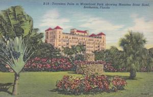 Florida Bradenton Travelers Palm In Waterfront Park Showing Manatee River Hot...
