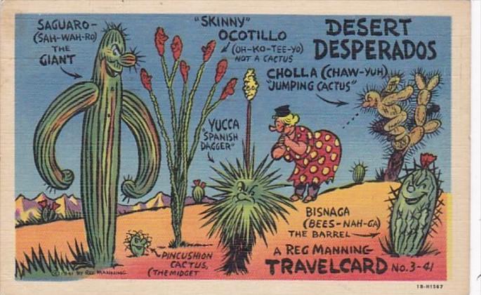 Humour Reg Manning Travel Card Desert Desperados 1957 Curteich