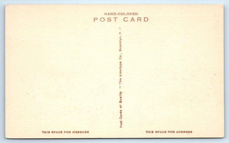 PALM BEACH, FL Florida ~ Handcolored THE BREAKERS By-The-Sea  c1920s Postcard