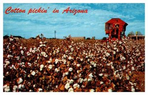 Postcard FARM SCENE State of Arizona AZ AR4274