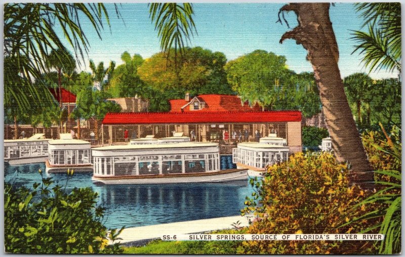 FL-Florida, Silver Springs, Source Of Florida's Silver River, Vintage Postcard