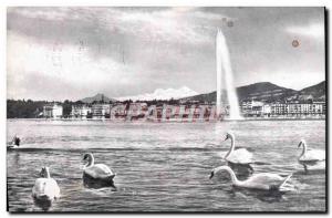 Old Postcard Geneve La Rade Jet D & # 39Eau Swans