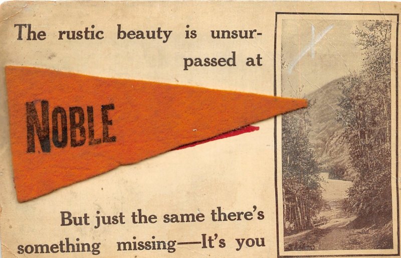 F47/ Noble Illinois Postcard 1912 Felt Pennant Rustic Beauty Greetings