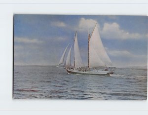 Postcard Windjammer Cruising Along The Scenic Coast Of Maine