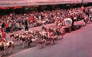 CALGARY, Alberta Canada THE STAMPEDE PARADE  Horses~Wagons~Crowd Chrome Postcard