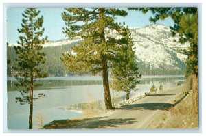 c1950s Donner Lake US Highway 40 California CA Unposted Vintage Postcard 