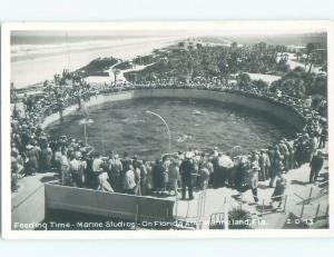 old rppc NICE VIEW Marineland - St. Augustine Florida FL i8895