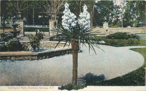 New York Richfield Springs Earlington Park Hyde #C-2678 Postcard 22-8202