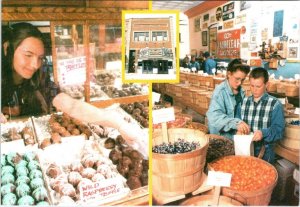 Red Lodge, MT Montana  CANDY EMPORIUM  Chocolate Store  4X6 ROADSIDE Postcard