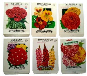 Flower Seed Packs Lot Of (6) EMPTY Vintage Celosia Snapdragon Caledula Verbena