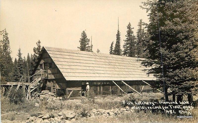 1930s Fish Hatchery Diamond Lake Trout Eggs Oregon Patterson Rppc