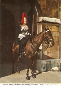 Mounted Sentry at Horse Guards Building Nice English PC. Size 6x4